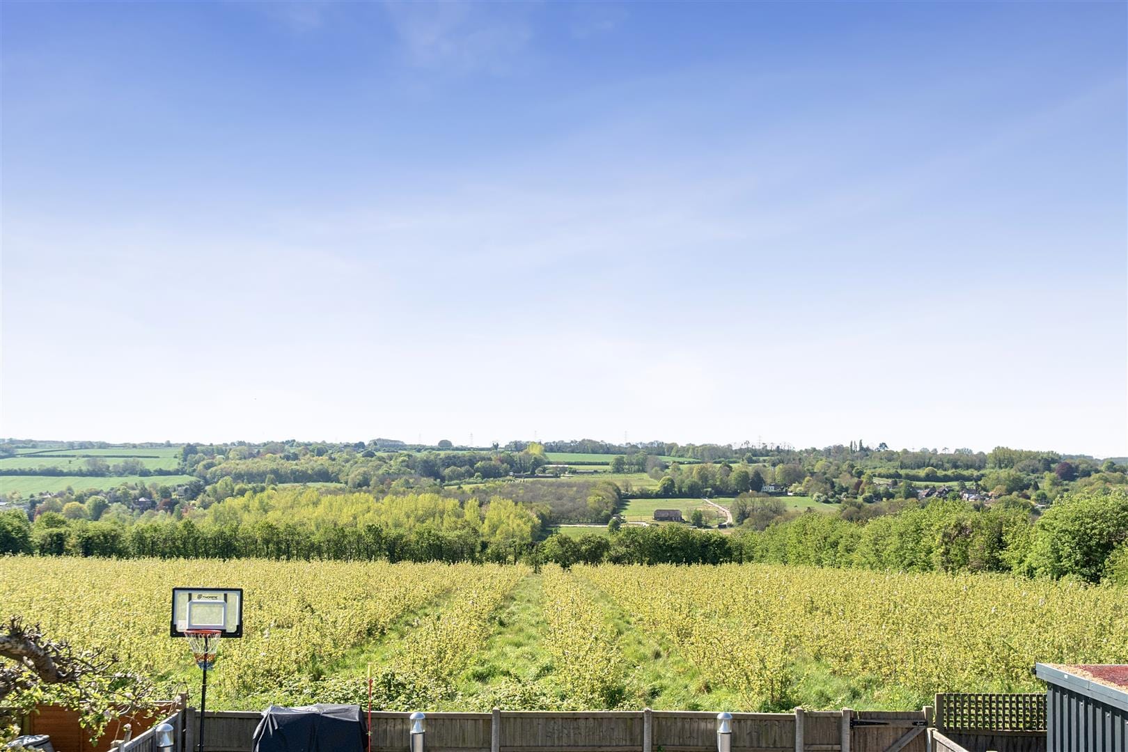 Number 19